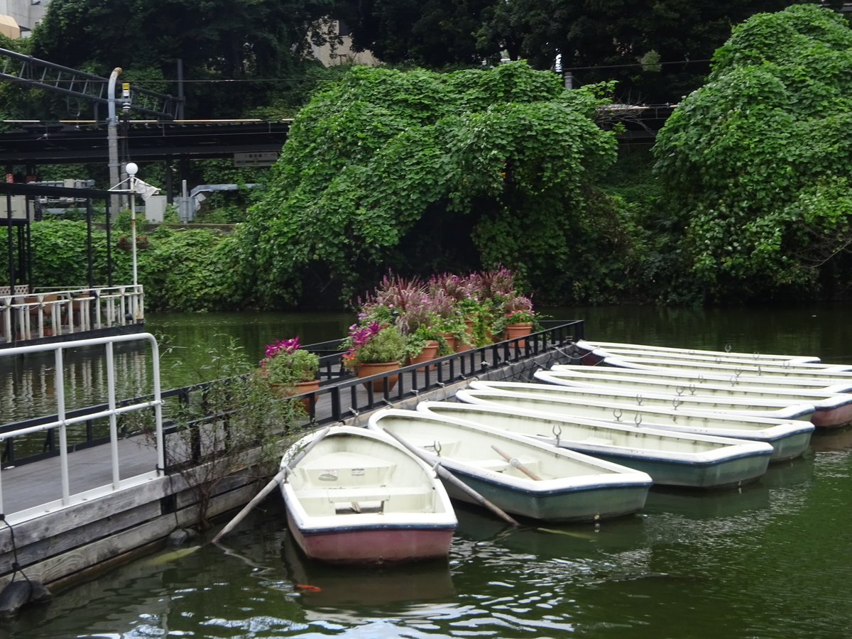 f:id:dancingbrave1986:20210925153151j:plain