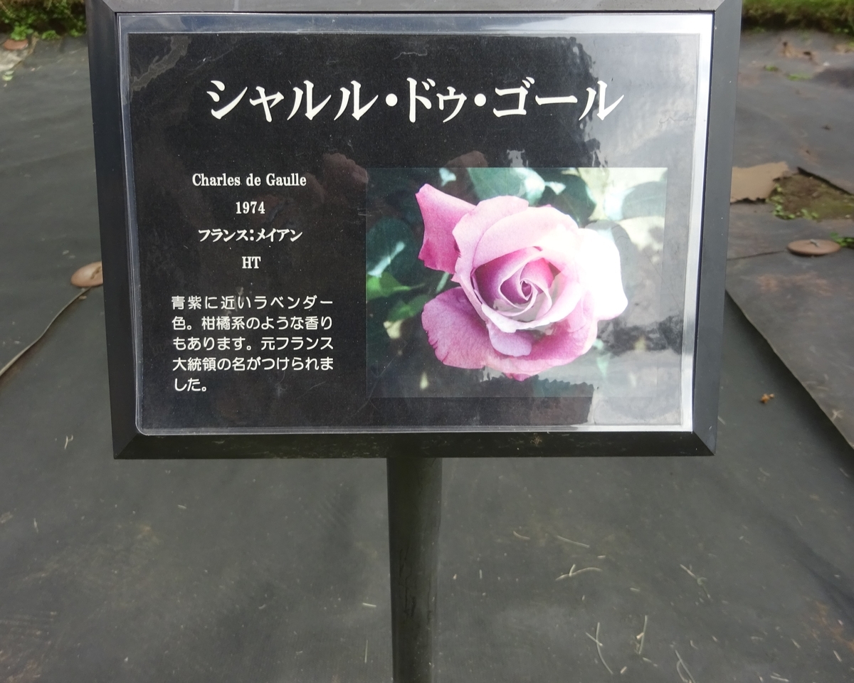 f:id:dancingbrave1986:20211015131829j:plain