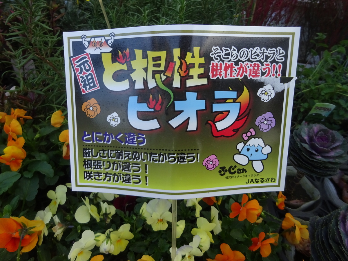 f:id:dancingbrave1986:20211108144054j:plain