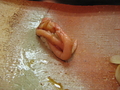 20080229194004