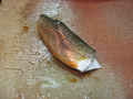 20080229200926