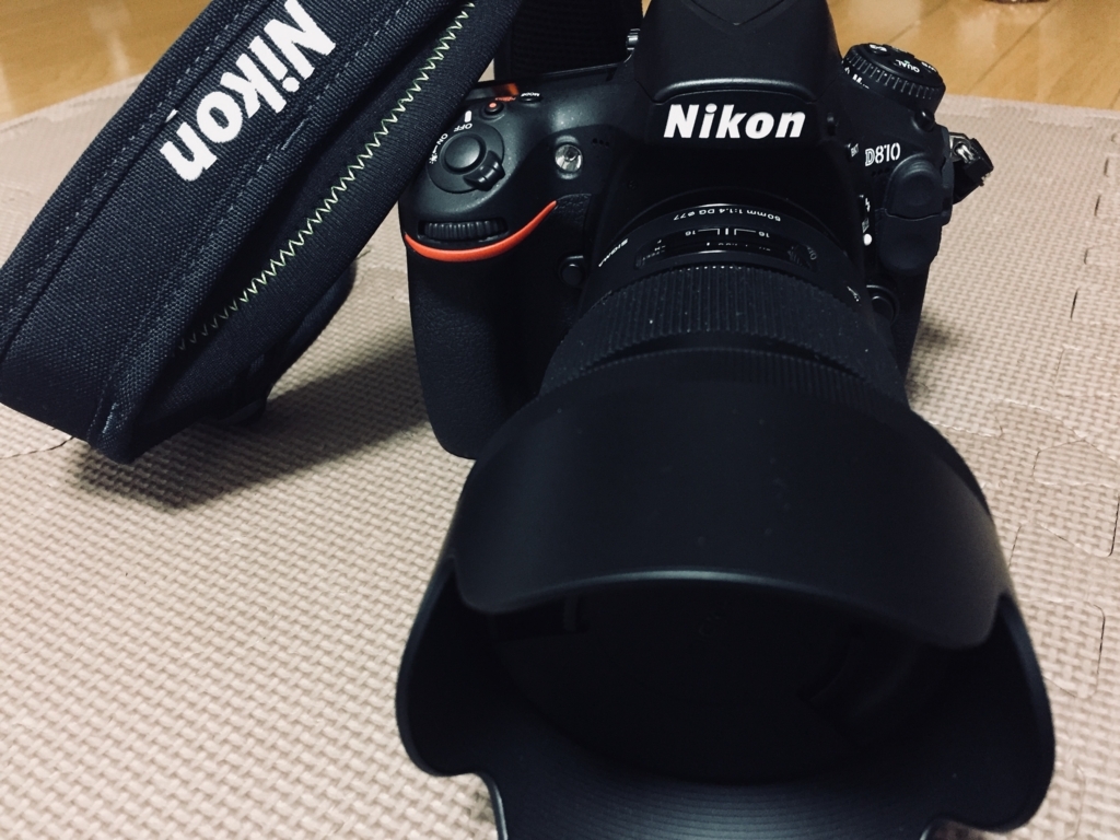 f:id:dandanblog:20180210002638j:plain f:id:dandanblog:20180210002638j:plain