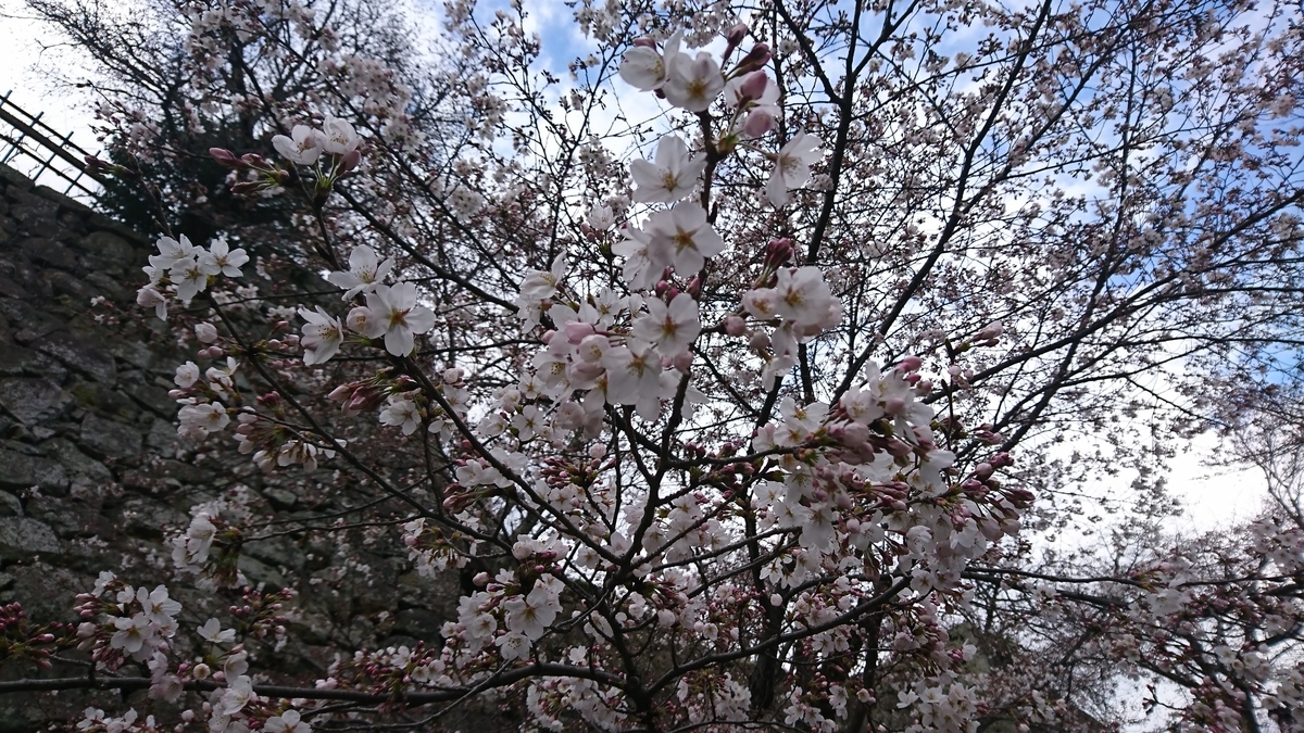 f:id:dandee:20190401151258j:plain