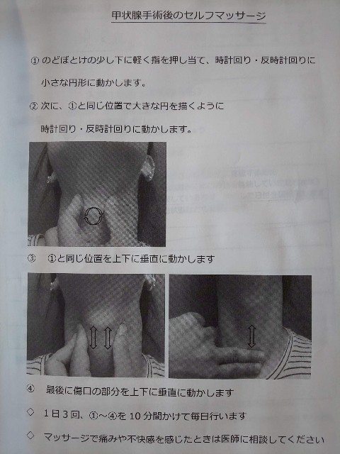 f:id:dandelionchan:20210913092009j:image