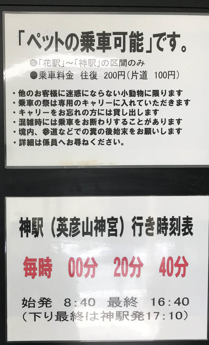f:id:dandelionlife:20200331111348j:plain