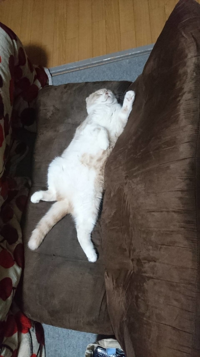 f:id:danedane0710:20200707211445j:plain f:id:danedane0710:20200707211445j:plain