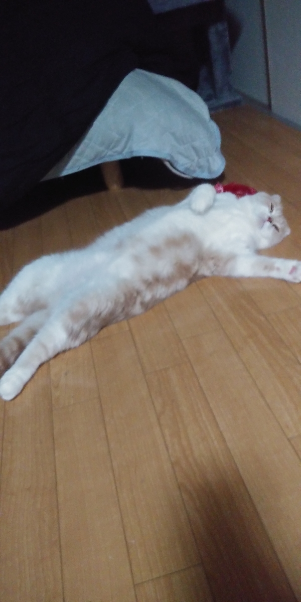 f:id:danedane0710:20200708003313j:plain f:id:danedane0710:20200708003313j:plain