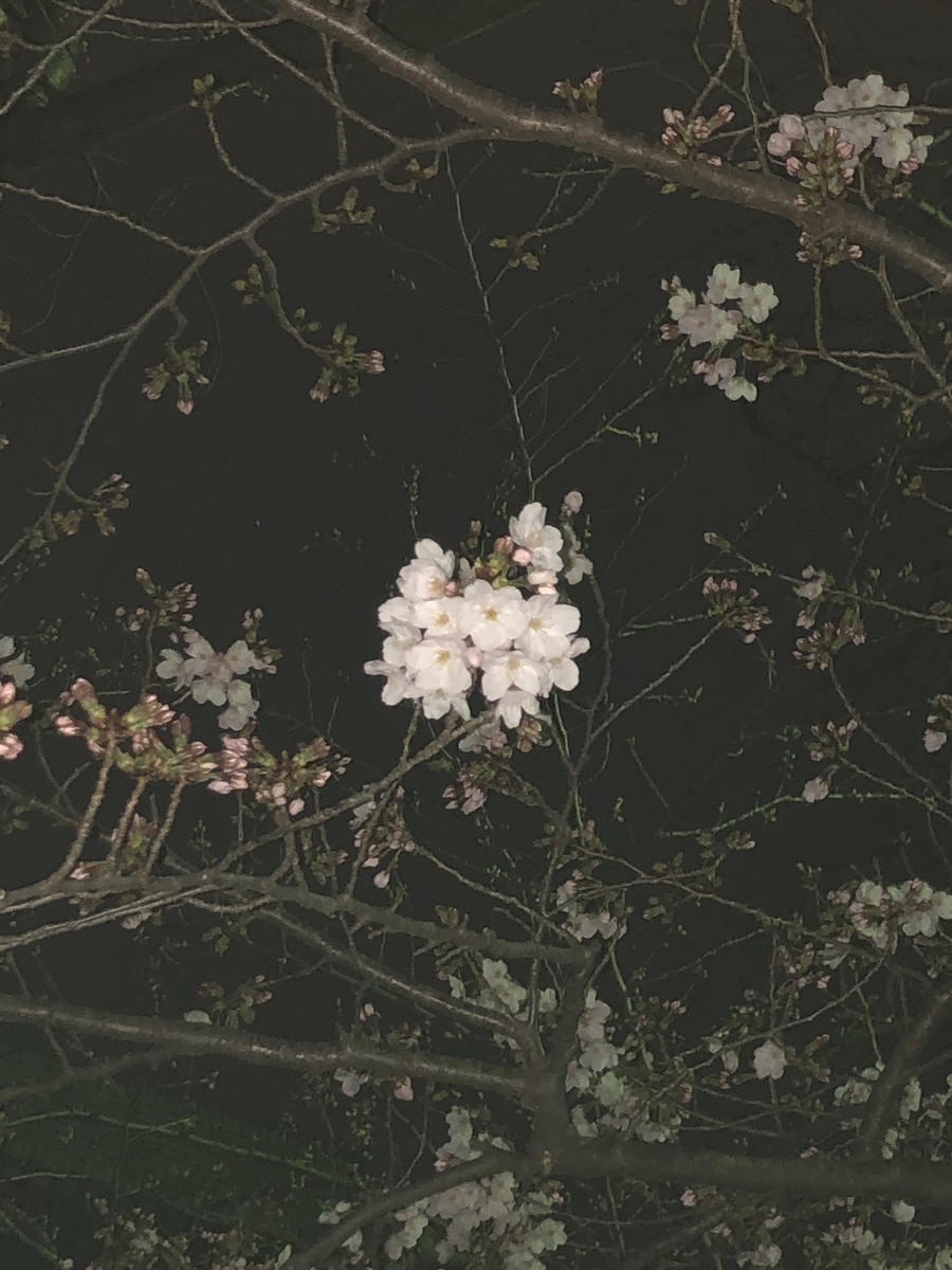 f:id:dango33:20200322212926j:plain f:id:dango33:20200322212926j:plain