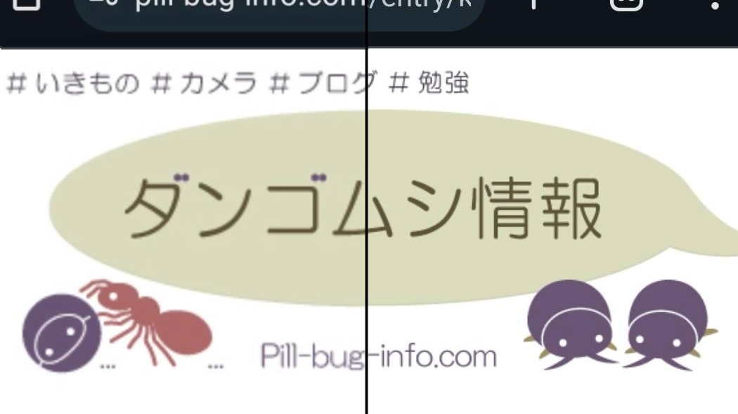 画質比較の図