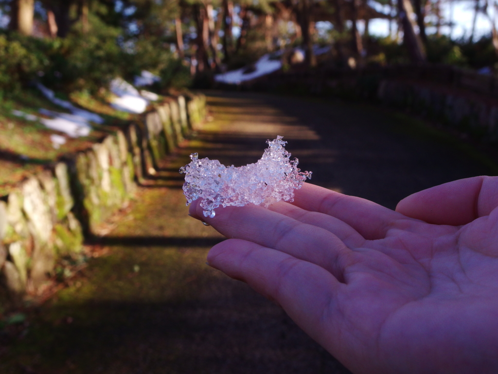 f:id:dangomushin:20170206214759j:plain