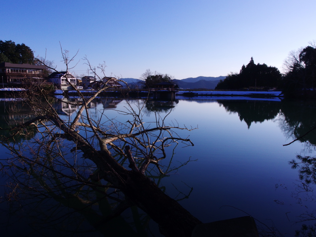 f:id:dangomushin:20170206215251j:plain