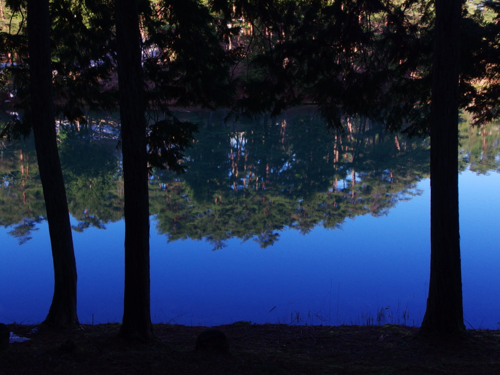 f:id:dangomushin:20170206215316j:plain