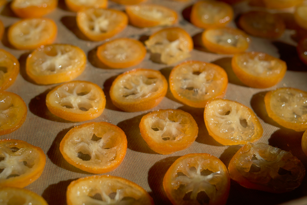 f:id:dangomushin:20170326140441j:plain