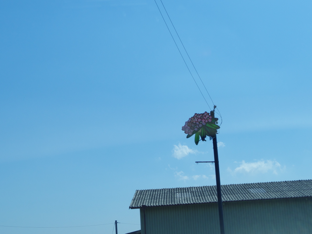 f:id:dangomushin:20170620013514j:plain