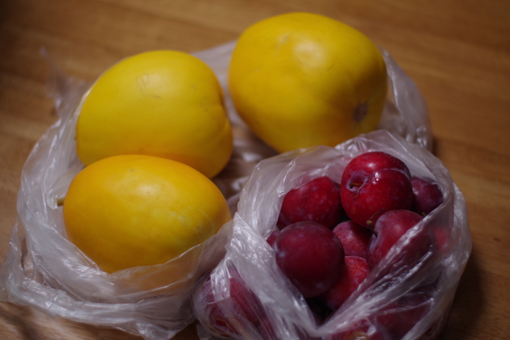 f:id:dangomushin:20170716210701j:plain