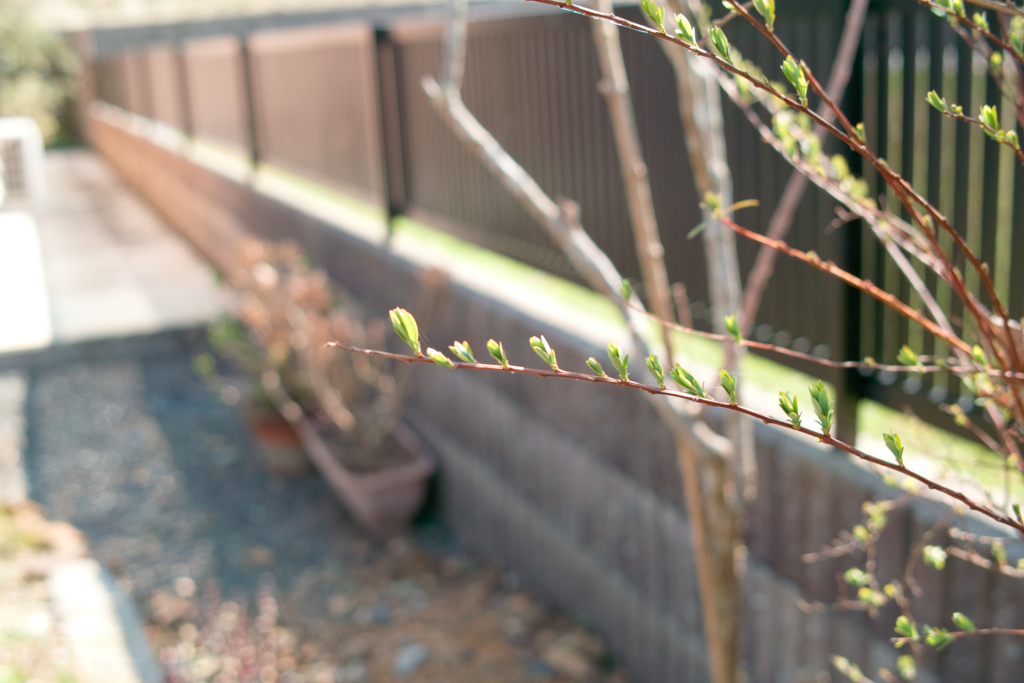 f:id:dangomushin:20180401010150j:plain