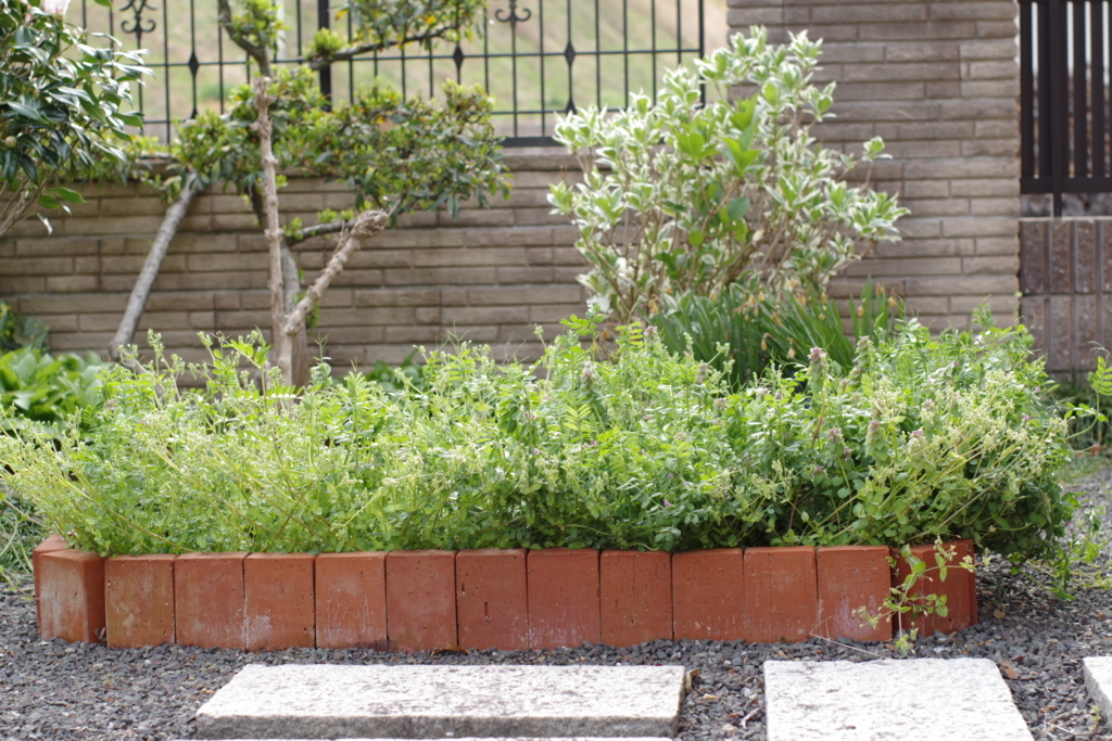 f:id:dangomushin:20180406011910j:plain