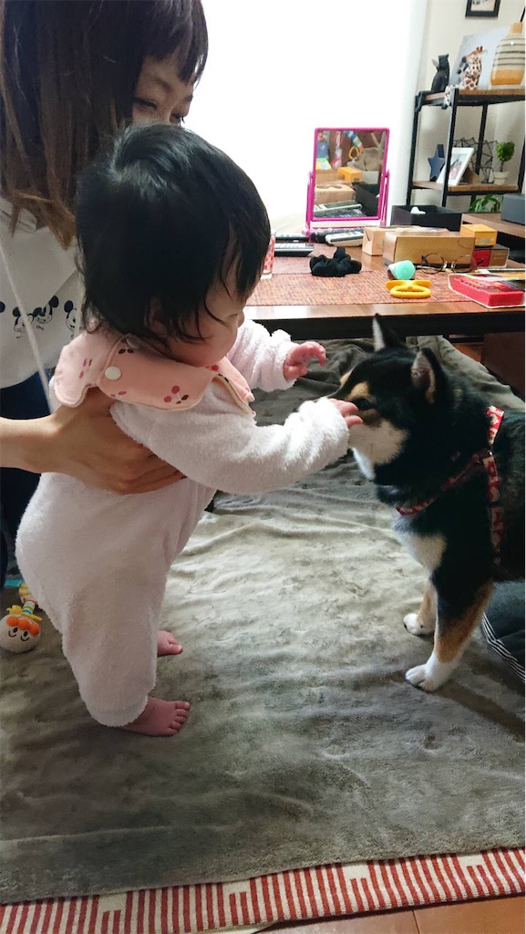 f:id:daniel-life:20210325221924j:image