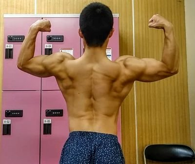 筋肉 背中
