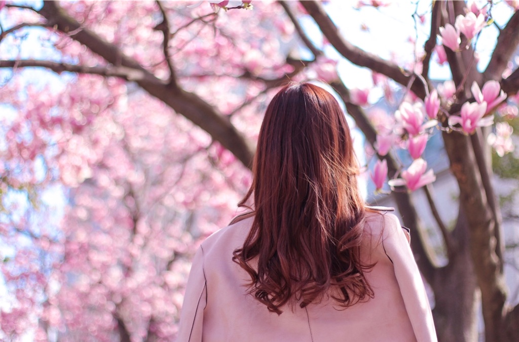 f:id:danielchang:20200506225448j:image f:id:danielchang:20200506225448j:image