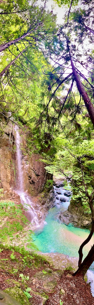 f:id:daniki:20201221225620j:image f:id:daniki:20201221225620j:image