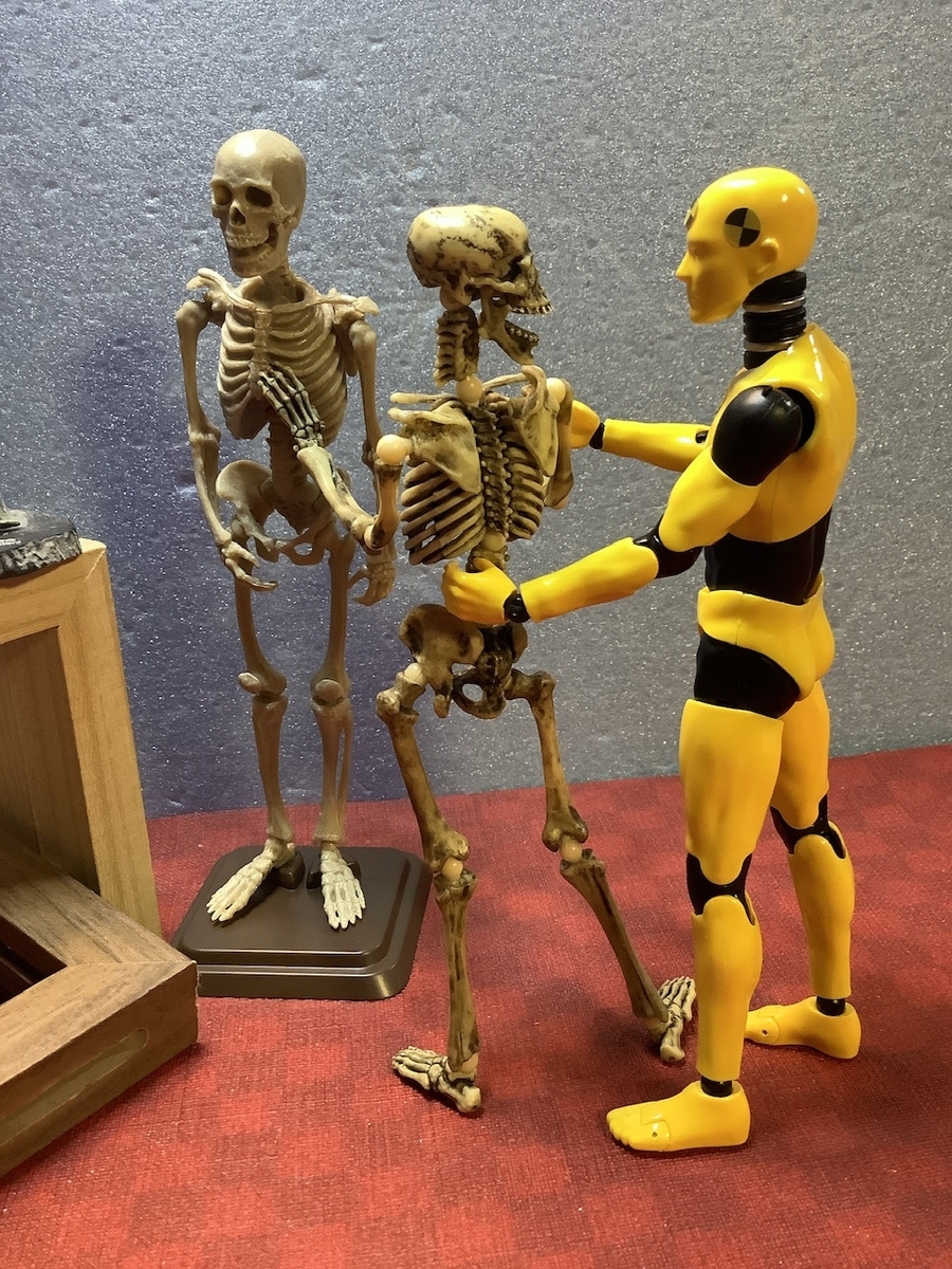 骸骨キャラクター フィギュア　当時物 貴重な展示物ですので、お手を触れないでください - 十六 × 二十