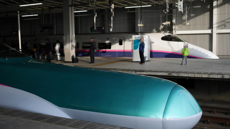 E5とE2が停車中に並んだところ