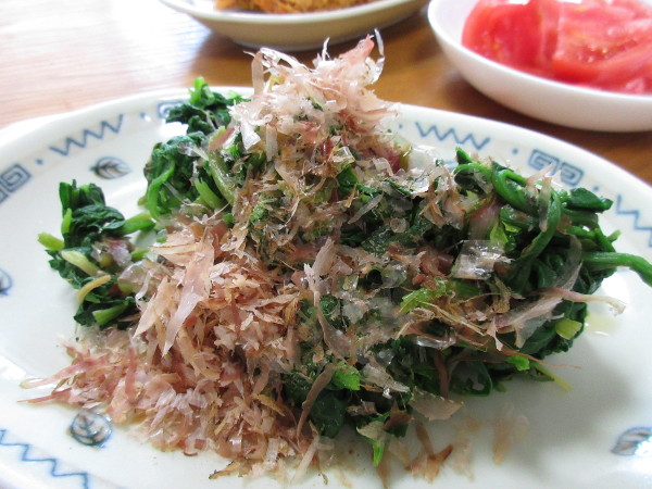 今日の畑仕事(3月13日)