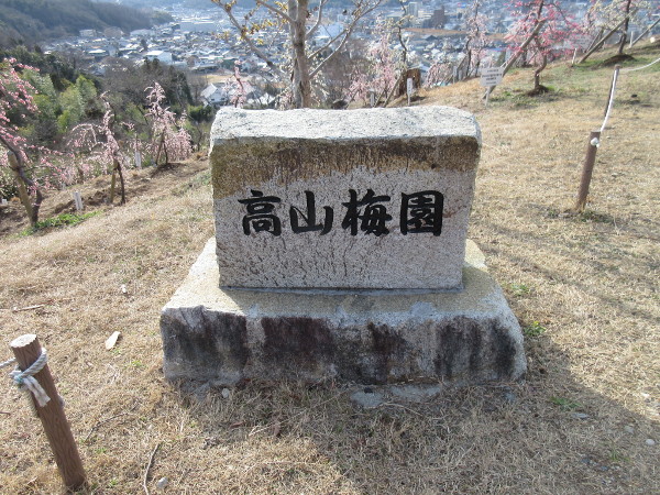 【土岐市】高山梅園
