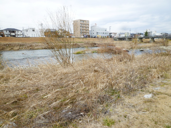 【土岐市】肥田支所