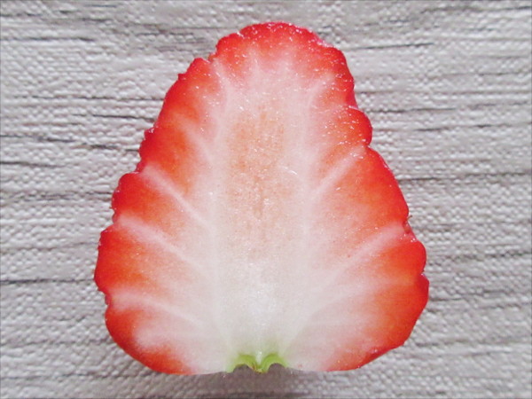 苺の断面図 美濃娘 みのむすめ わたなべまこのこと