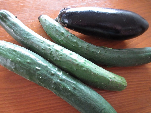 今日の畑仕事(6月23日)
