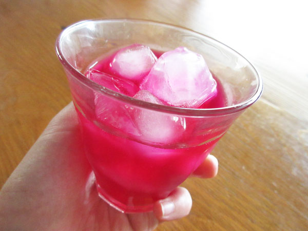 赤紫蘇ジュースを作りました