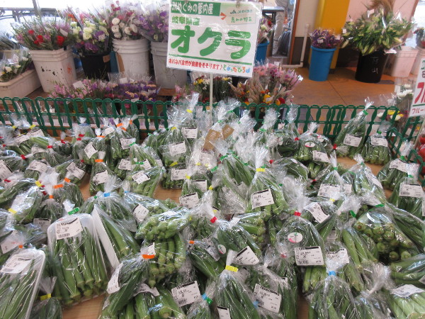 【可児市】とれったひろば可児店