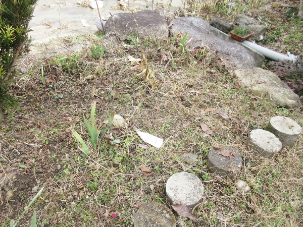 春の花を植える準備、しました