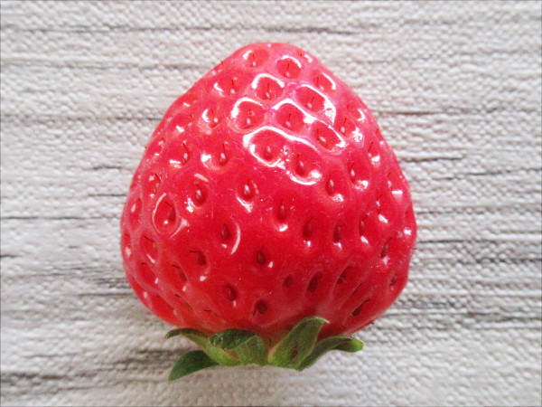 いちご　確認画像 イチゴ 宝交早生（ほうこうわせ）の画像一覧：旬の果物百科