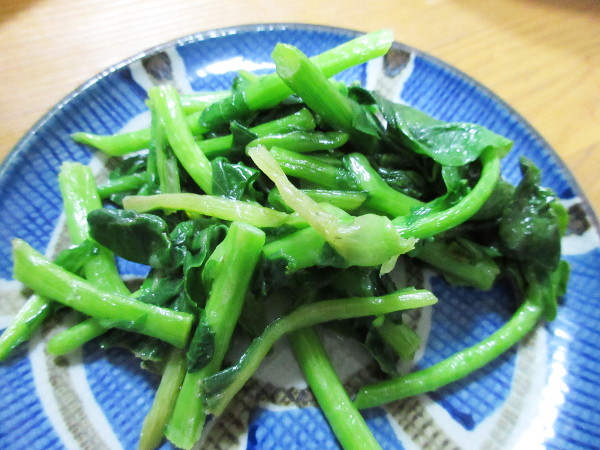 アスパラ菜を収穫しました