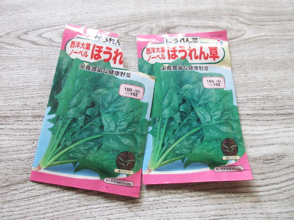 ほうれん草の種を蒔きました