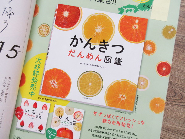 美的5月号にかんきつだんめん図鑑の広告が掲載されました