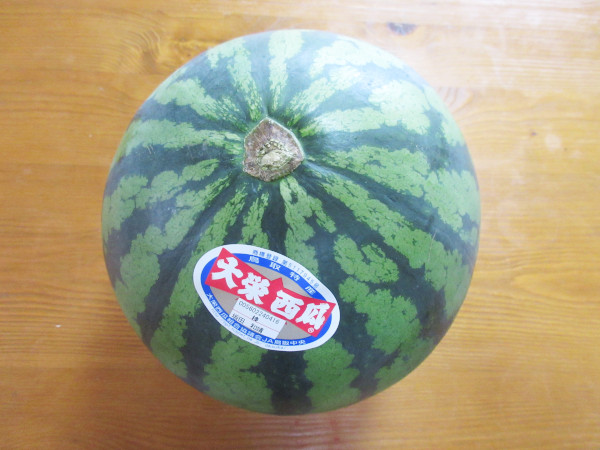 【スイカの断面図】大栄西瓜