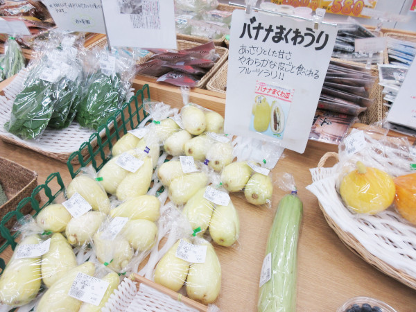 【メロンの断面図】バナナまくわうり
