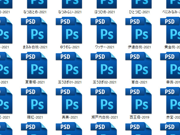 桃の家系図 21を公開しました O わたなべまこのこと