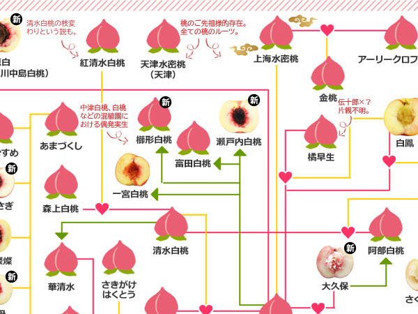 桃の家系図 21を公開しました O わたなべまこのこと