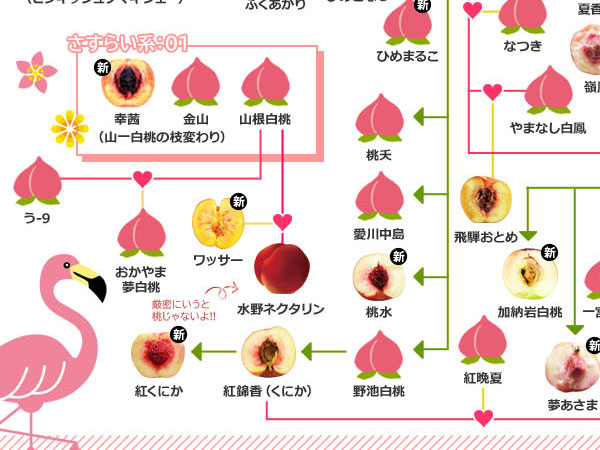 桃の家系図 2021を公開しました＼(^o^)／