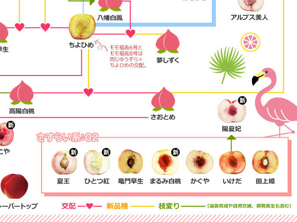 桃の家系図 2021を公開しました＼(^o^)／