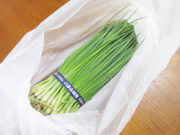 今年もタマネギを植えました