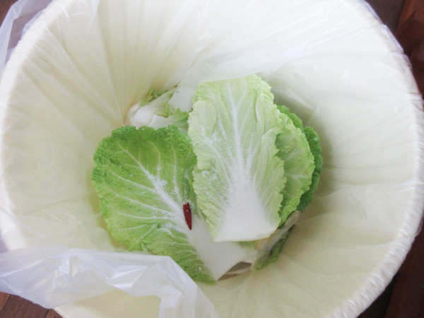 白菜漬けにチャレンジしてみました