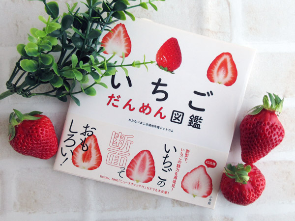 いちごだんめん図鑑の重版が決まりました!