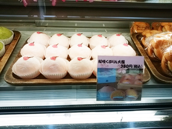 青いクマ 桜咲くぷりん大福