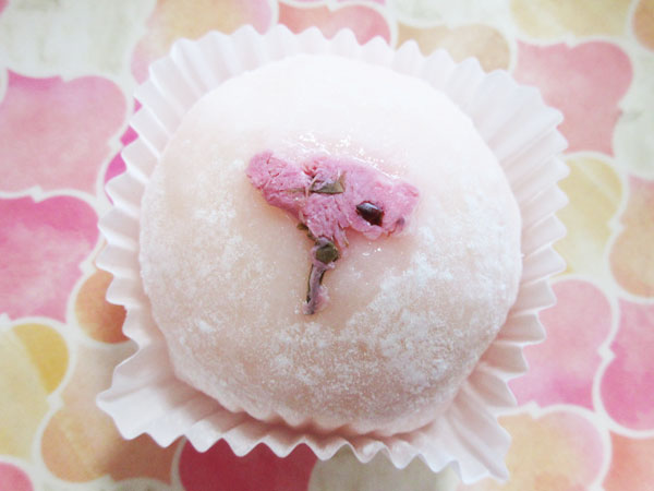 青いクマ 桜咲くぷりん大福